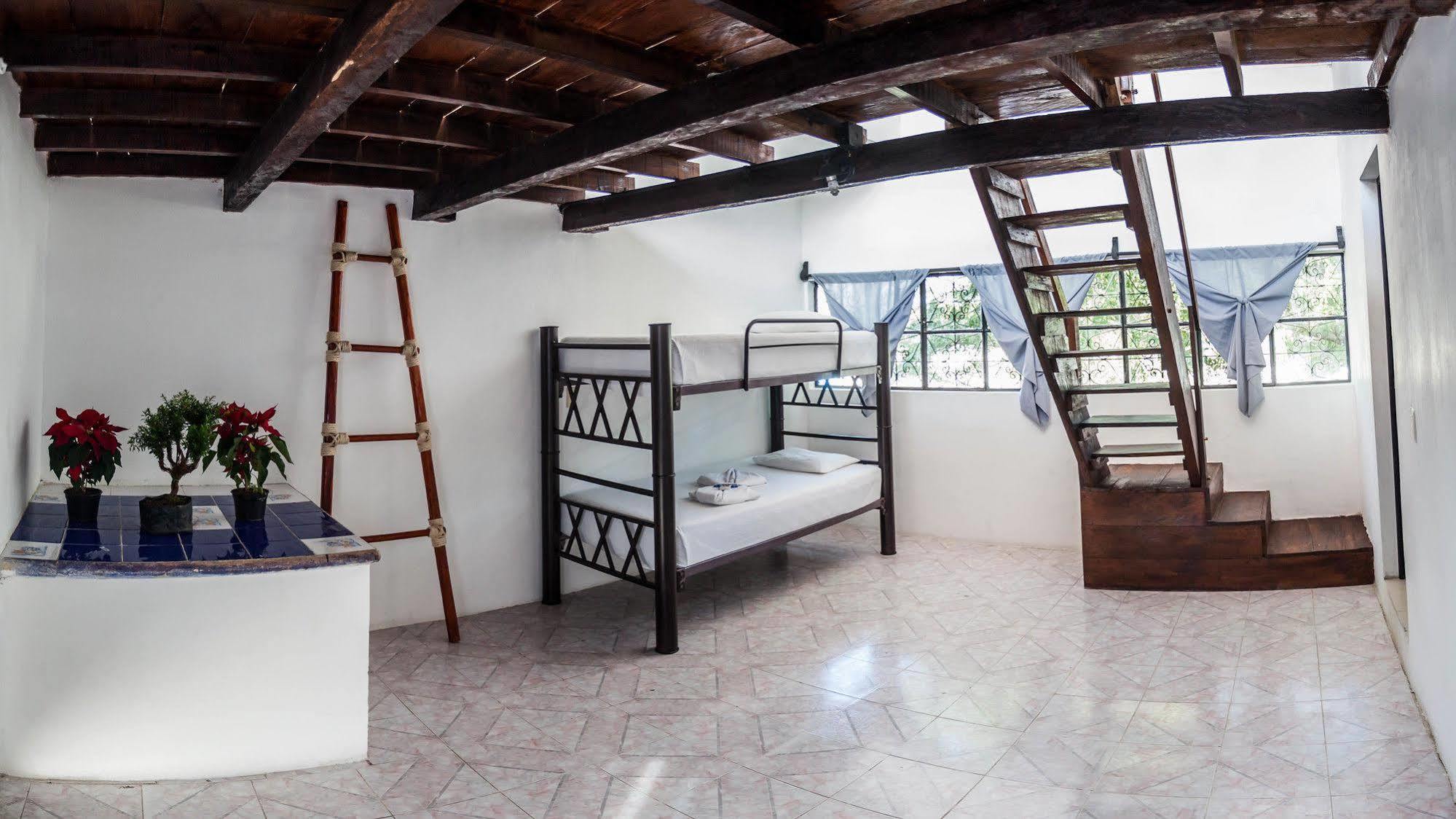 Hostel Babel 图卢姆 外观 照片